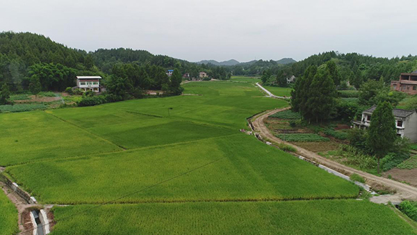 南充南部县全面完成2019年高标准农田建设项目