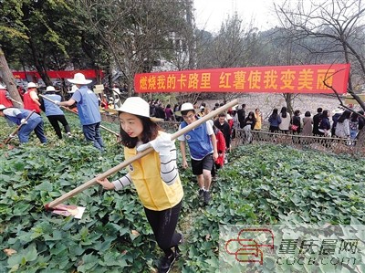 【科教 图文】四川美术学院组织师生进行农耕文化体验活动