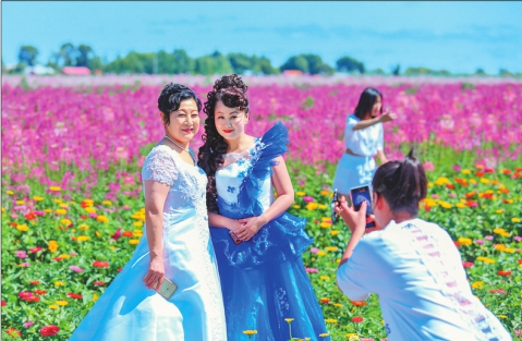 密山 “乡村花海”引来10万客