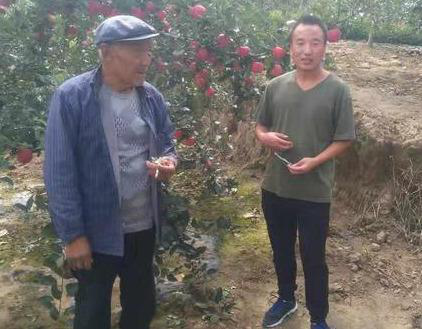 内容助力电商创业,90后小伙帮村民卖出17万元苹果 内容助力电商创业,90后小伙帮村民卖出17万元苹果