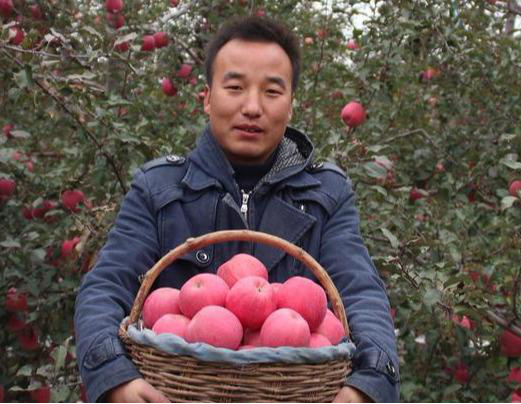 内容助力电商创业,90后小伙帮村民卖出17万元苹果 内容助力电商创业,90后小伙帮村民卖出17万元苹果