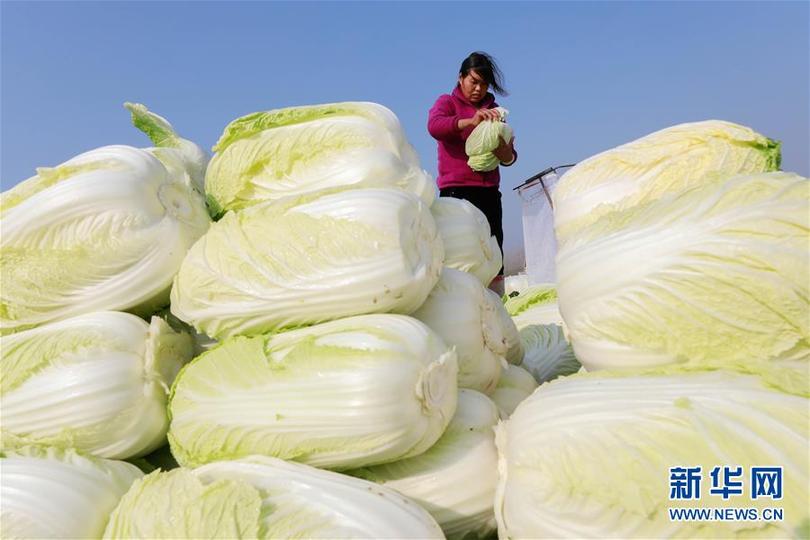 图片默认标题_fororder_5-1