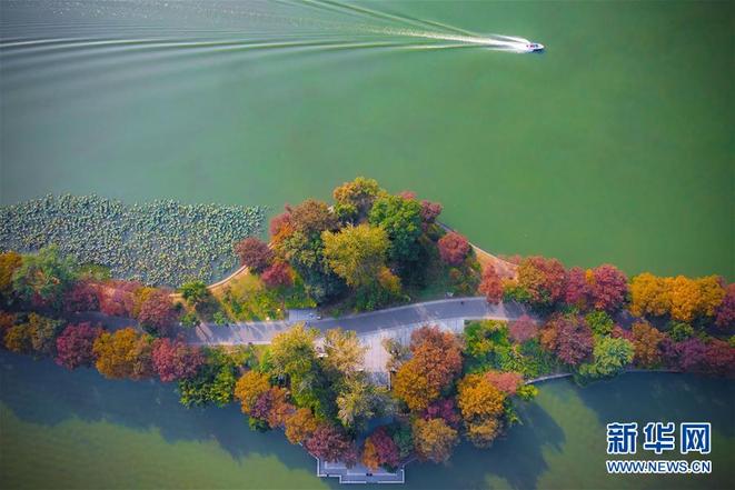 图片默认标题_fororder_qiu2