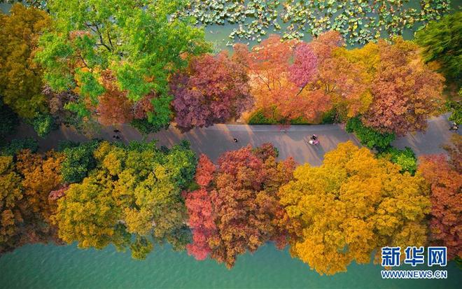 图片默认标题_fororder_qiu