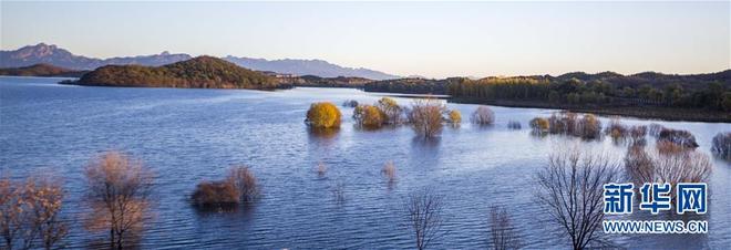 图片默认标题_fororder_qiu8