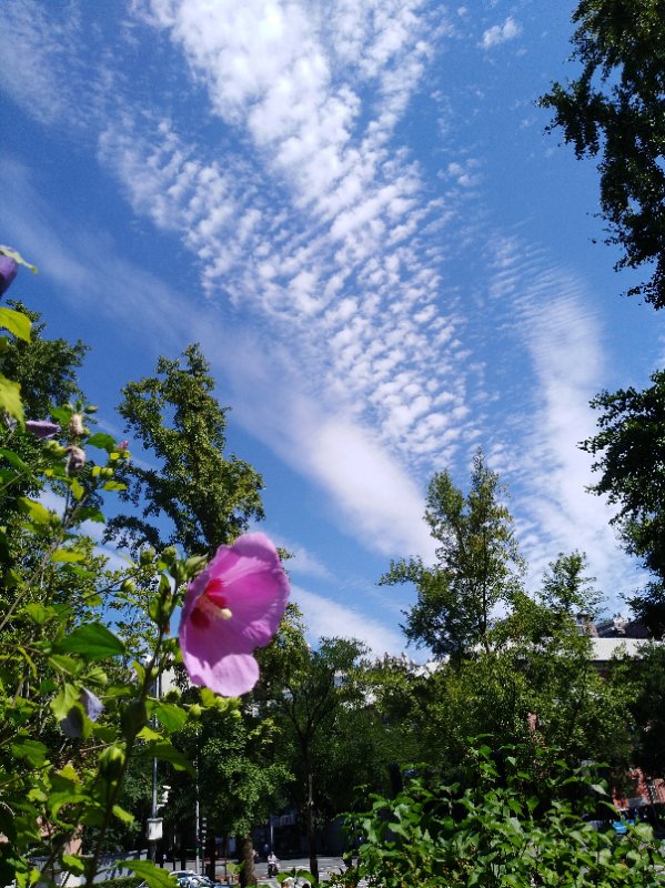 8月25日 火曜日_fororder_微信图片_20200825232430