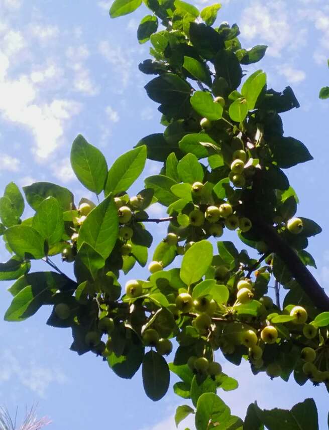 8月25日 火曜日_fororder_微信图片_20200825232436