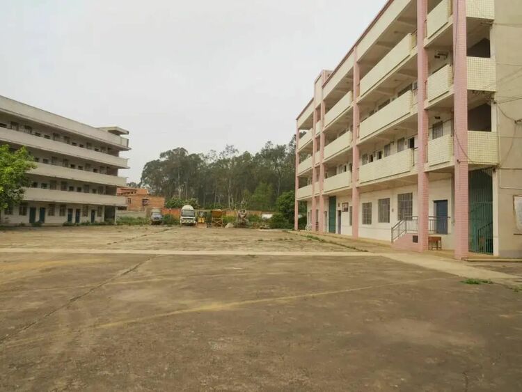 新校园如雨后春笋般投入使用 南宁市良庆区基础教育努力向强区迈进