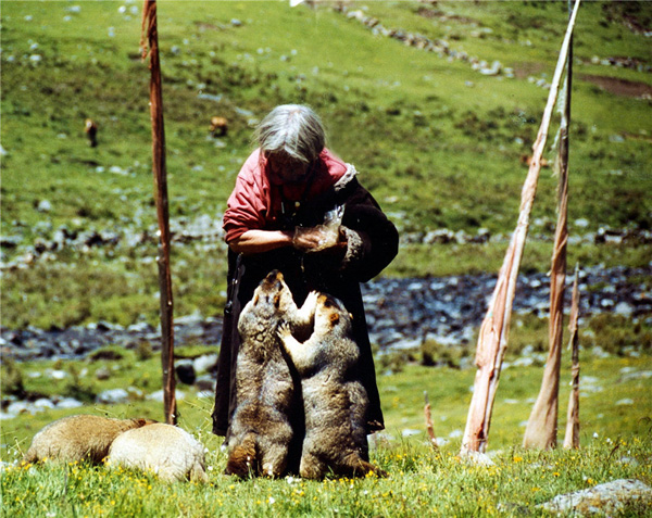 图片默认标题_fororder_藏族老人俯身给土拨鼠喂食（丹巴县委宣传部-供图）