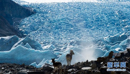 Ang Gangbu Glacier sa Tibet