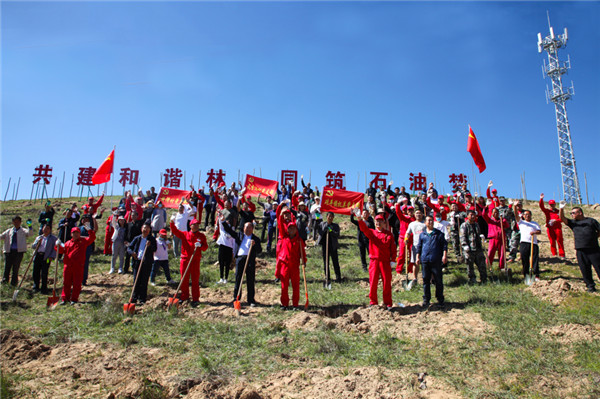 （有修改）【加急】长庆油田采油六厂：企地共建和谐林 同筑石油梦