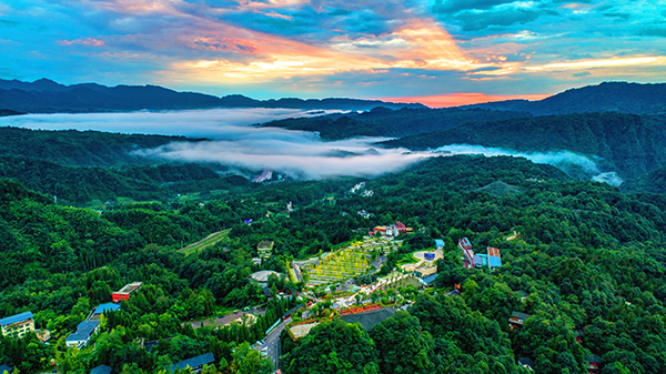 图片默认标题_fororder_生态雅安（雅安市雨城区委宣传部-供图）