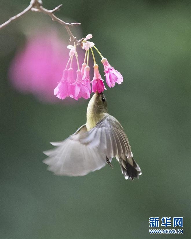 图片默认标题_fororder_1210058506_15500212677341n