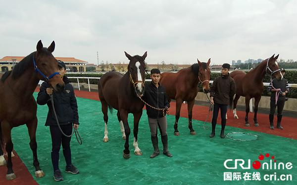 图片默认标题_fororder_赛马亮相（摄影-杨建昆）1