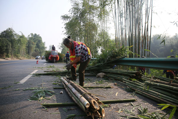 图片默认标题_fororder_清理残枝