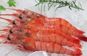 阿根廷渔业将重点带来“一只虾三条鱼”。阿根廷红虾，阿根廷黄鱼、雪花鲳和鱿鱼。_fororder_阿根廷渔业将重点带来“一只虾三条鱼”。阿根廷红虾，阿根廷黄鱼、雪花鲳和鱿鱼。
