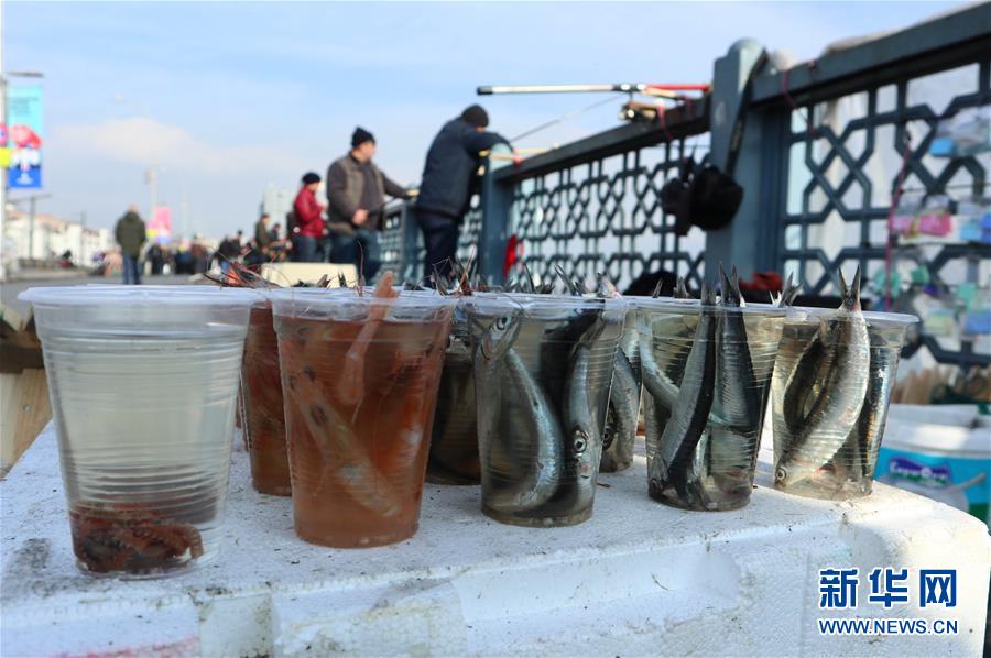 新华网■伊斯坦布尔：冬日垂钓