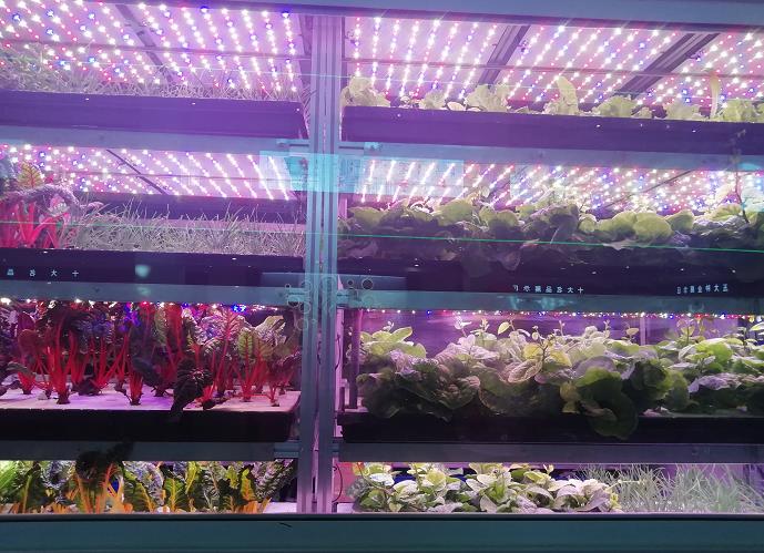 太谷变农谷 引领北方地区现代农业创新高地