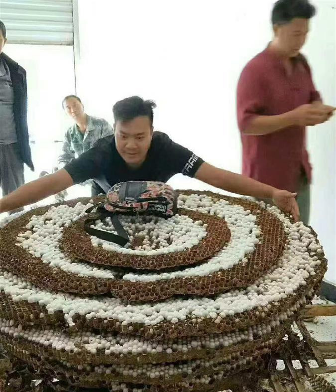 图片默认标题_fororder_wasp3