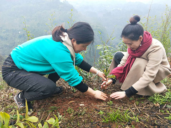 图片默认标题_fororder_1