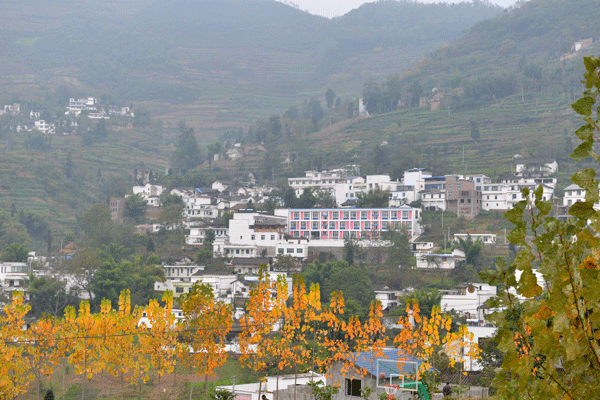 图片默认标题_fororder_1