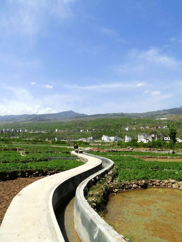 图片默认标题_fororder_2