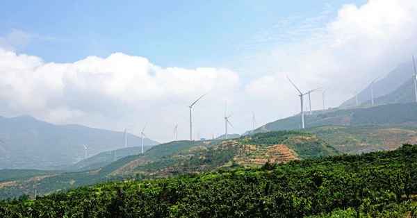 图片默认标题_fororder_5