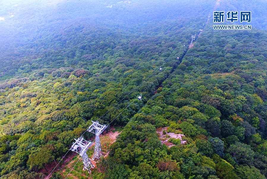 又见紫金好风光紫金山索道升级回归