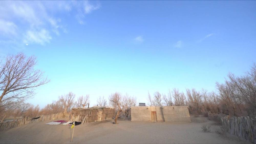 「新华社」出沙漠记