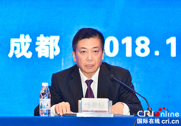 图片默认标题_fororder_1自贡市委常委、副市长杨智艳先生介绍盐业博览会相关情况（摄影-廖志全）