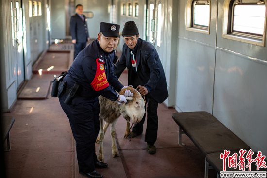 「中青在线」慢火车上年轻的希望
