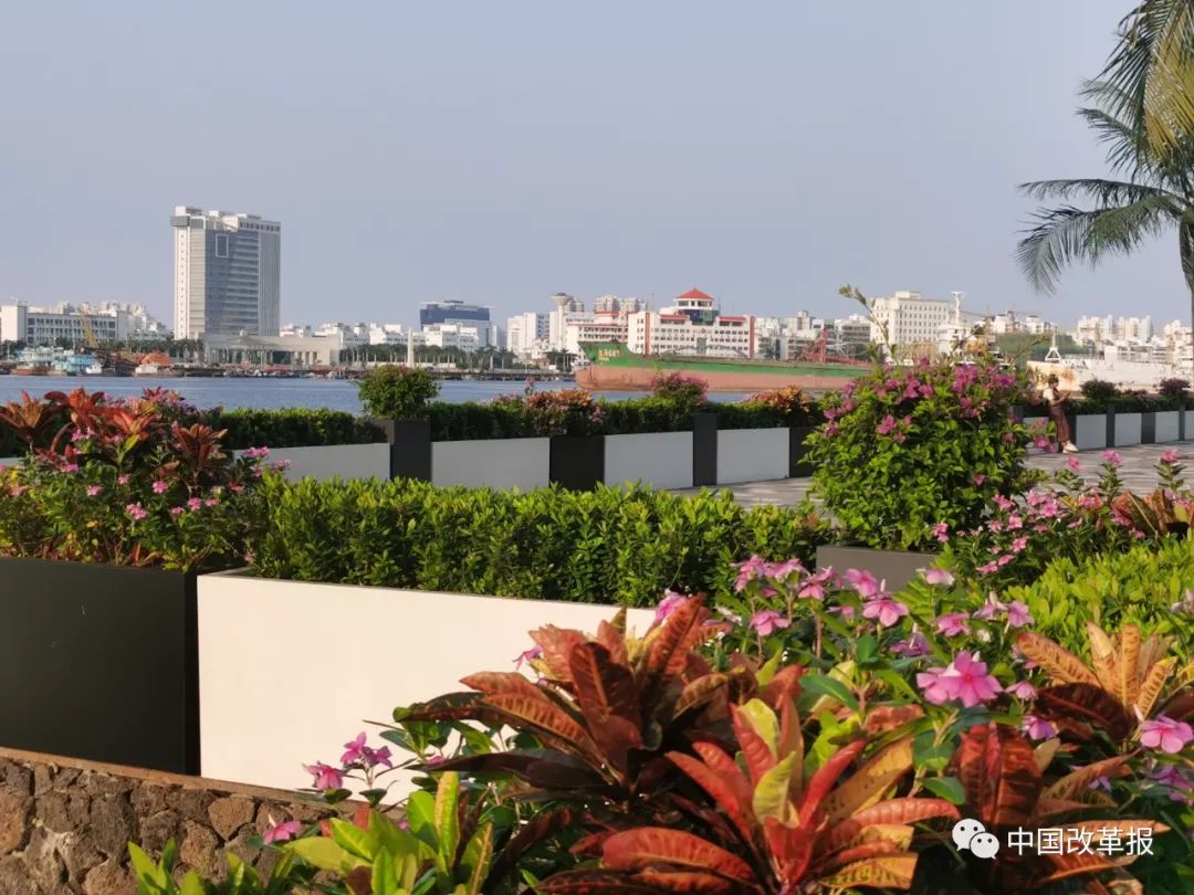 【热点】海南自贸港加快打造新时代改革开放新样本