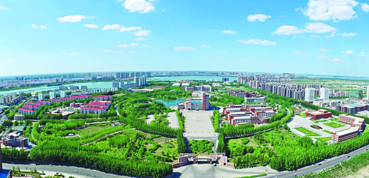 躬耕黑土加油中国 东北石油大学60年办学育人纪实