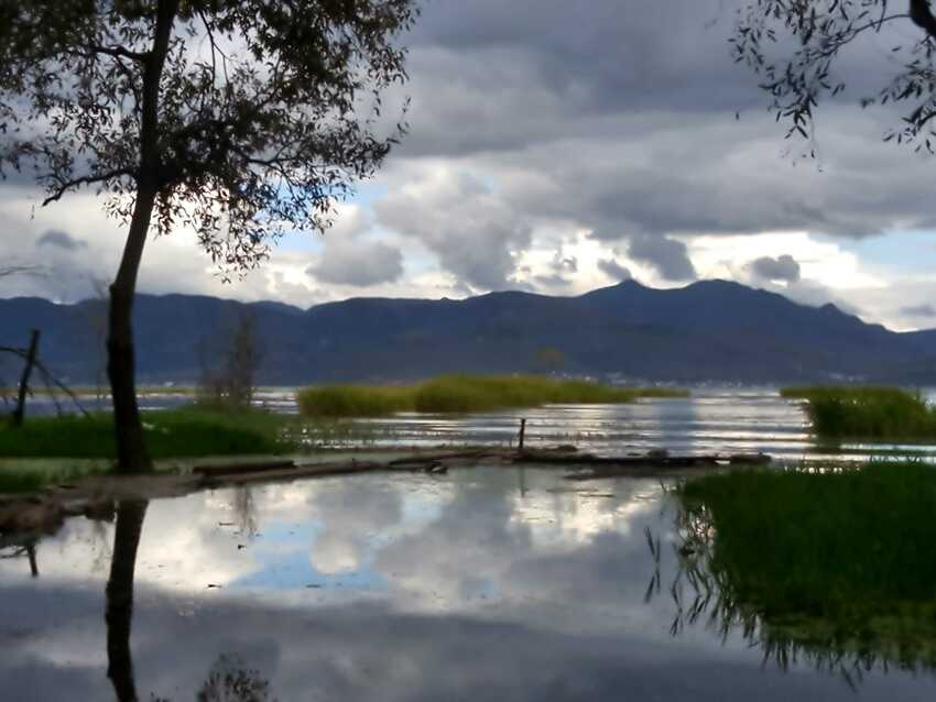 图片默认标题_fororder_C360_2017-10-12-16-43-27-351_comps