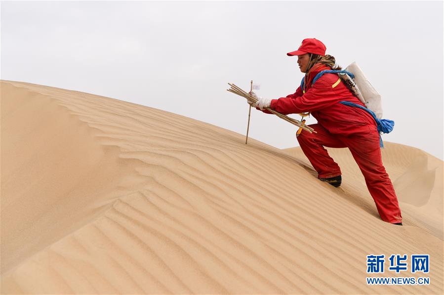 新华网@石油物探队的“女汉子”