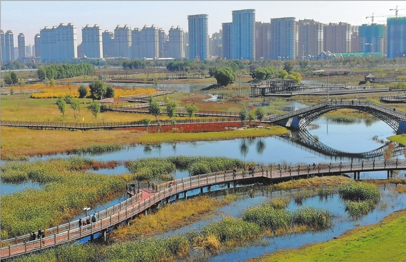哈尔滨再添新名片 “国际湿地城市”为高质量发展“加分”