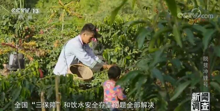 新闻调查脱贫冲锋号 | 中国的脱贫攻坚，是各行各业无数人努力汇成的森林