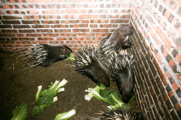 图片默认标题_fororder_2V5C2075