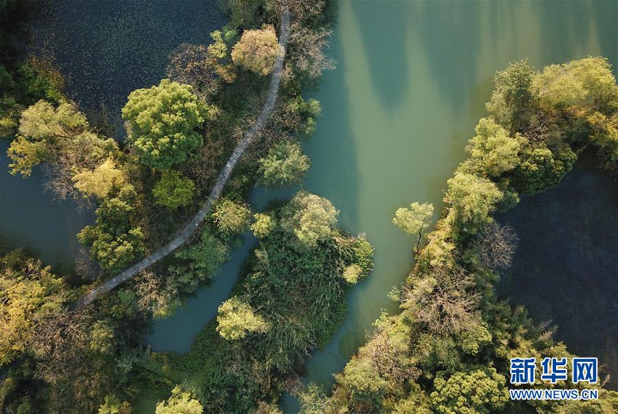 图片默认标题_fororder_5