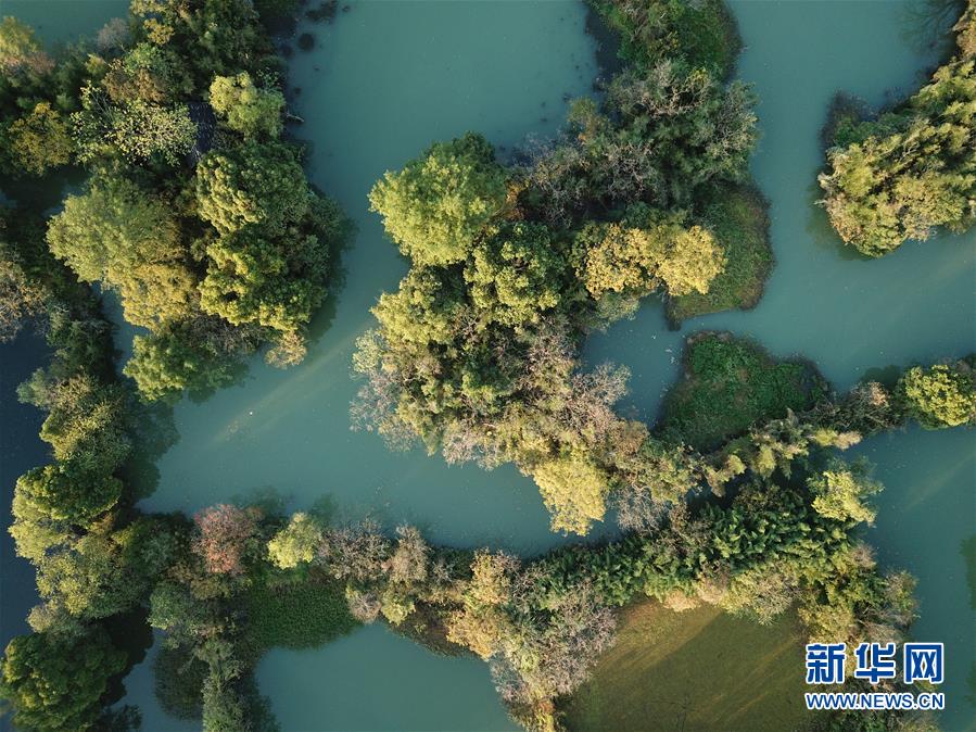 图片默认标题_fororder_1