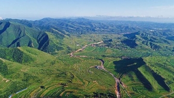 සේද මාවතට අනුබලයක්