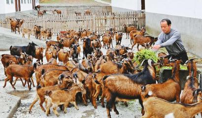 （导航成都）香港带给南江的 绝不仅仅是资金