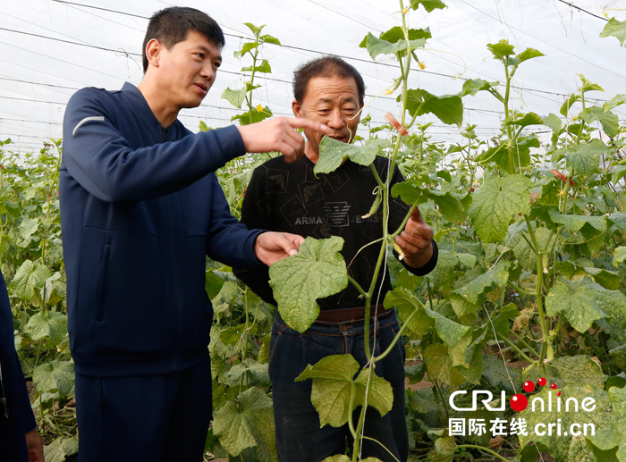 07【吉林】【供稿】【CRI看吉林（标题）】【关东黑土（延边）】【移动版（图）】【专访】延边州延吉市依兰镇平安村驻村“第一书记”母龙广：让贫困村发生天翻地覆的变化