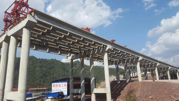 图片默认标题_fororder_1