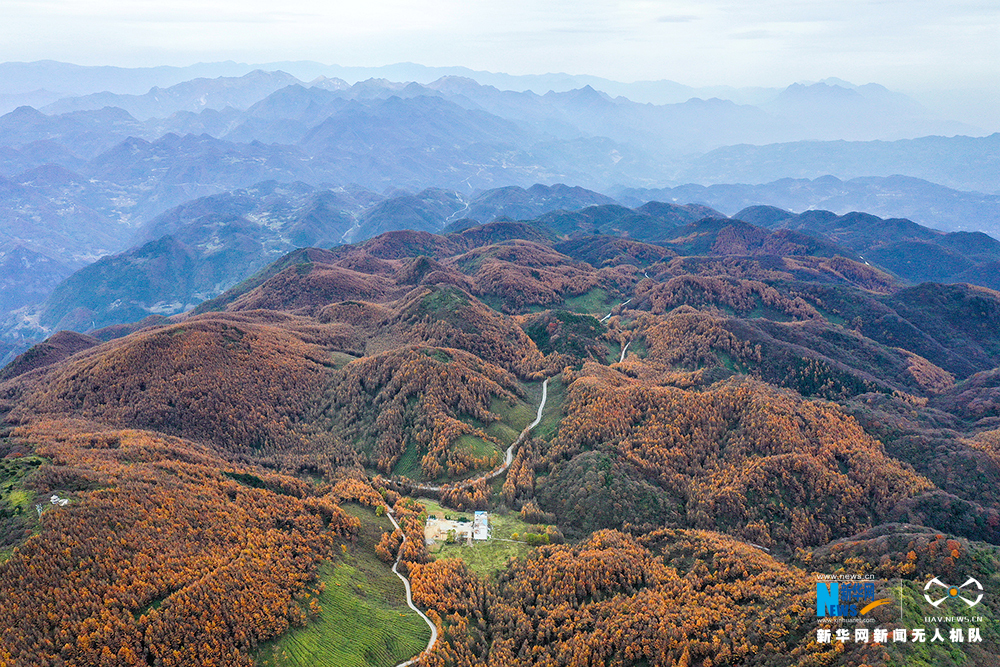 【渝情渝景】重庆梨子坪迎晚秋盛景