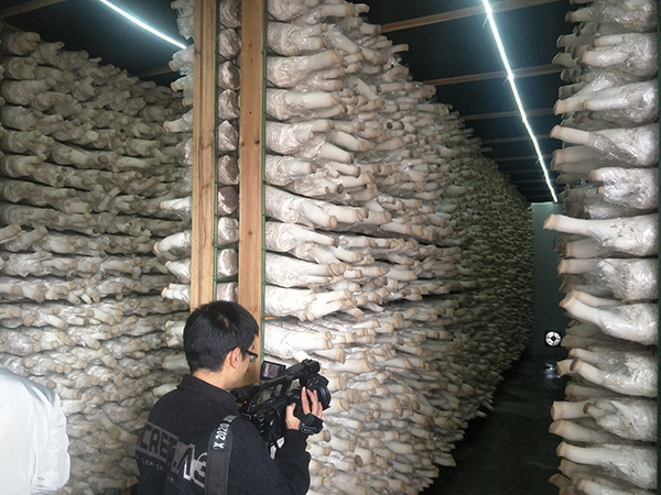 图片默认标题_fororder_IMG20181108111452