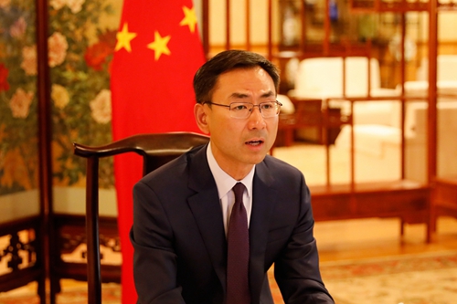 世界の停戦実現、感染症との戦いに取り組む=中国代表_fororder_5