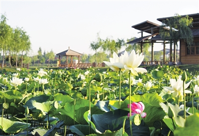 天津：西青3个村入选全国乡村旅游重点村