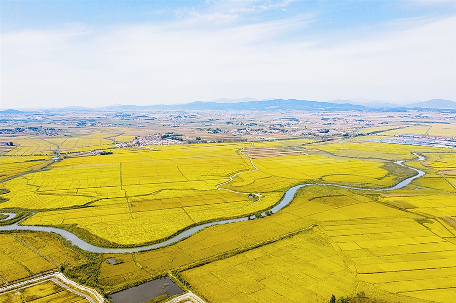 大连:丰收是大地的“信条”