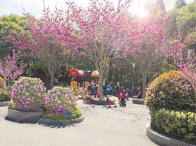 杨浦两座公园进行花卉改造 明年春天将“颜值大涨”